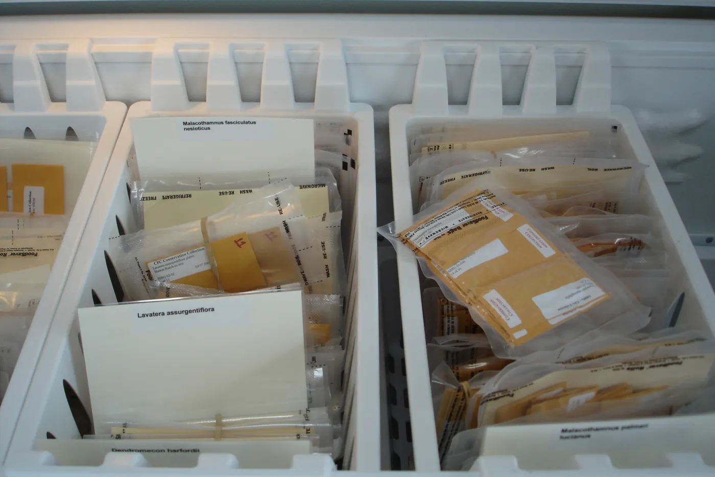 SBBG Conservation seed bank facilities