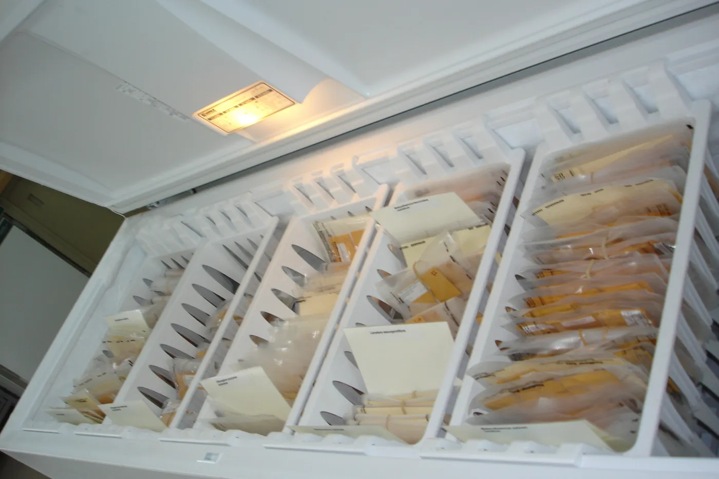SBBG Conservation seed bank facilities