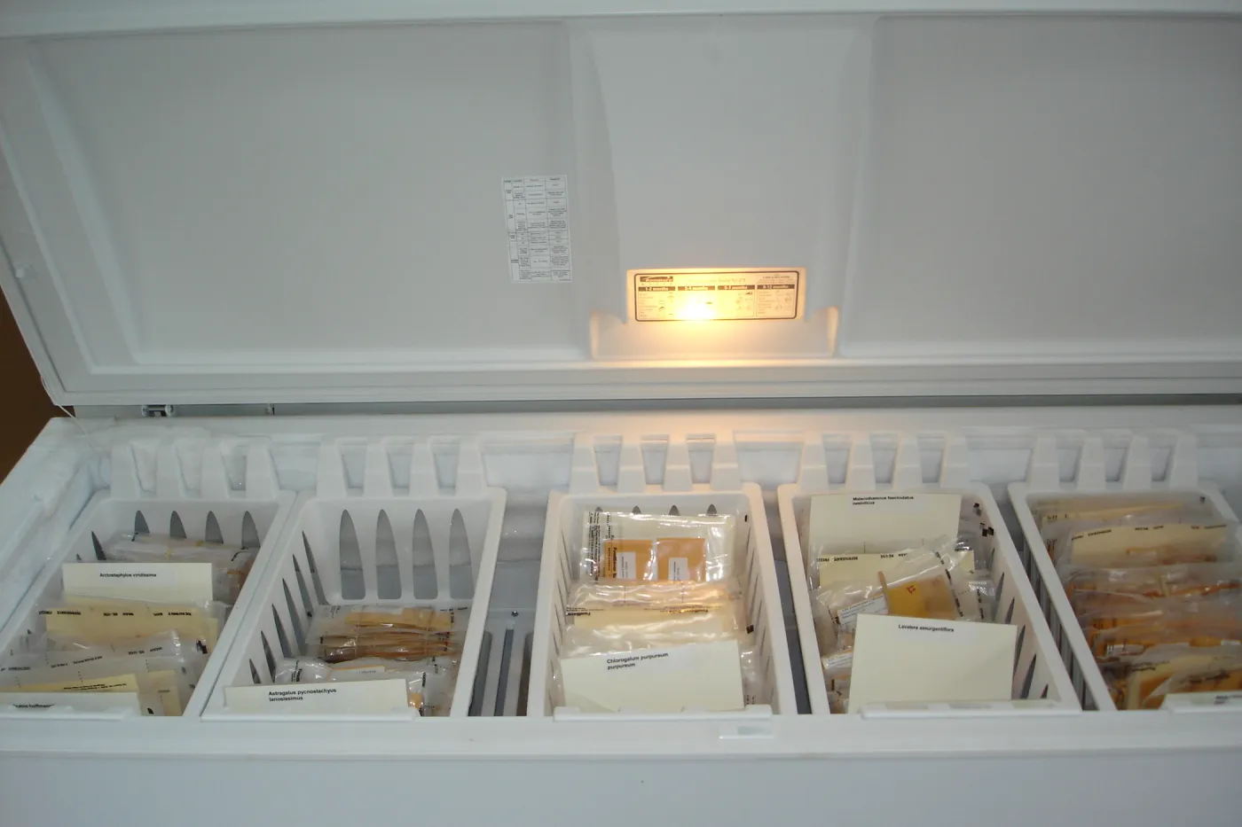 SBBG Conservation seed bank facilities