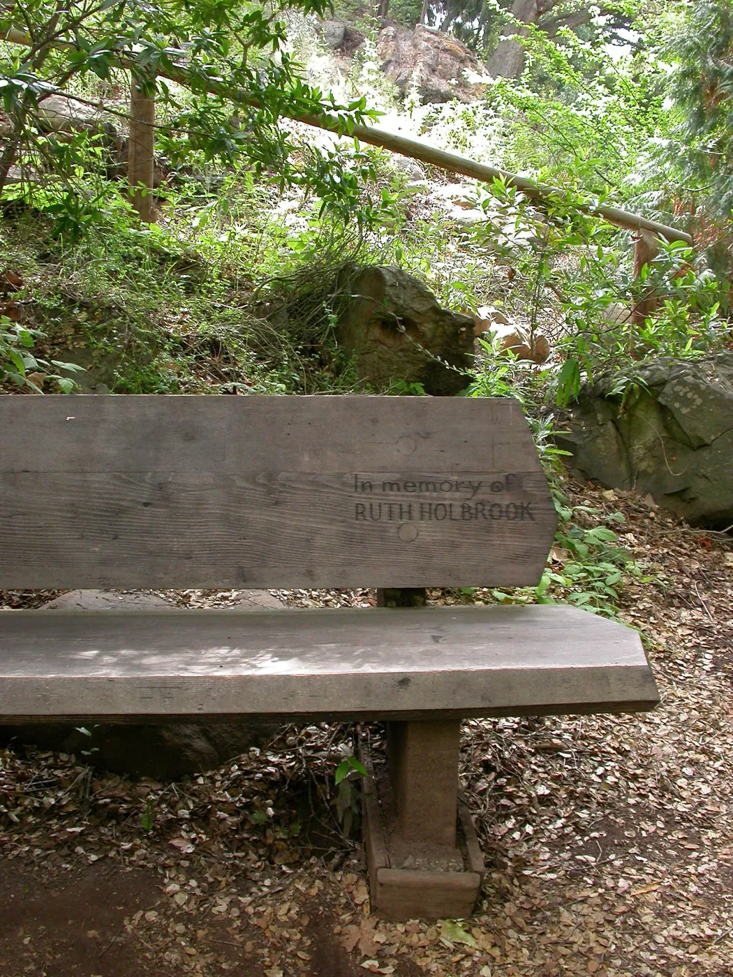 Ruth Holbrook Bench K 32 (Bench #49)