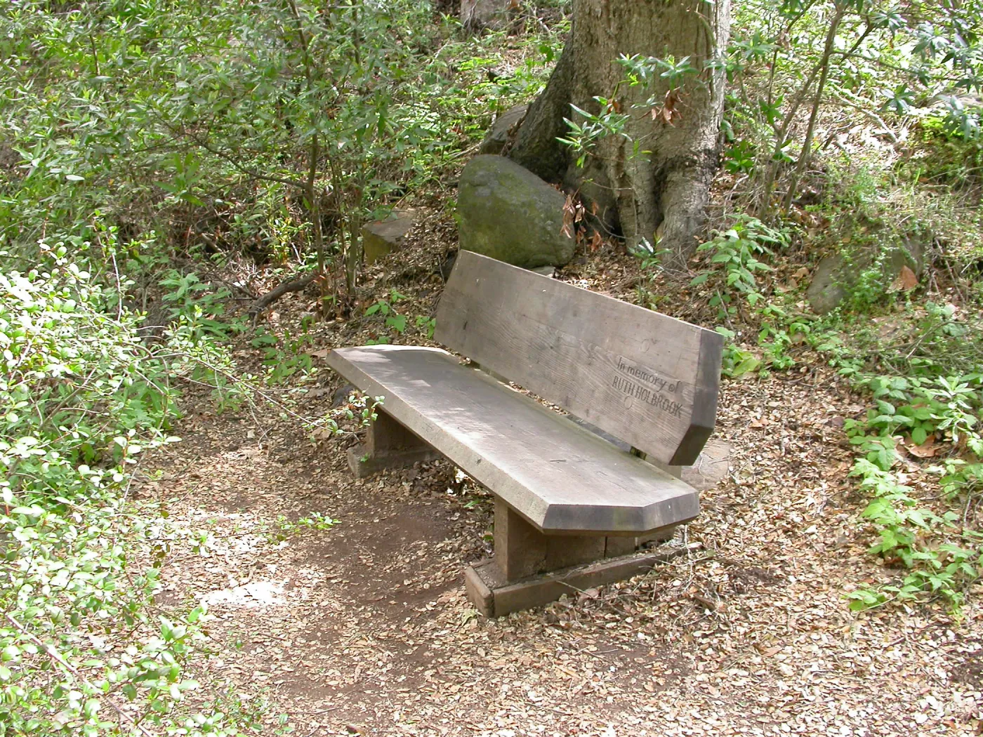 Ruth Holbrook Bench K 32 (Bench #49)