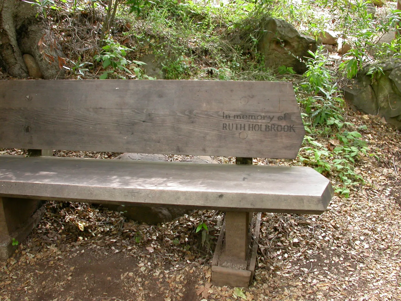 Ruth Holbrook Bench K 32 (Bench #49)
