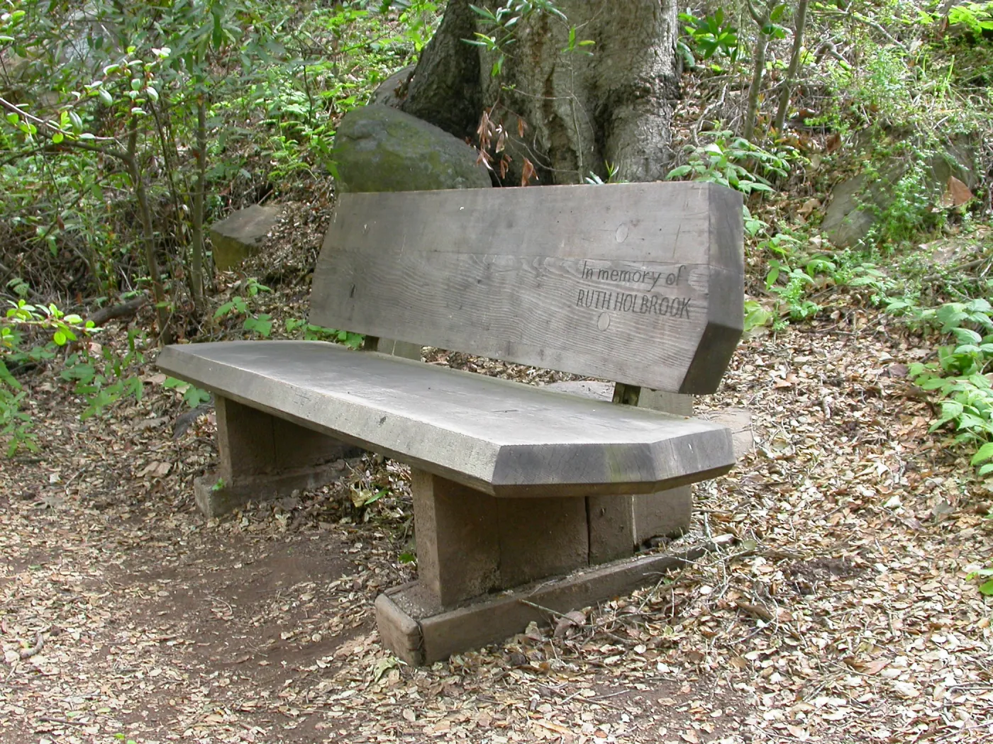 Ruth Holbrook Bench K 32 (Bench #49)