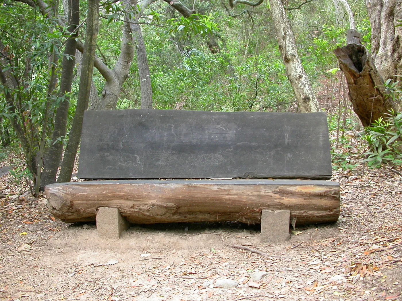 Ford Family Bench L31 or M 30 (Bench #48)