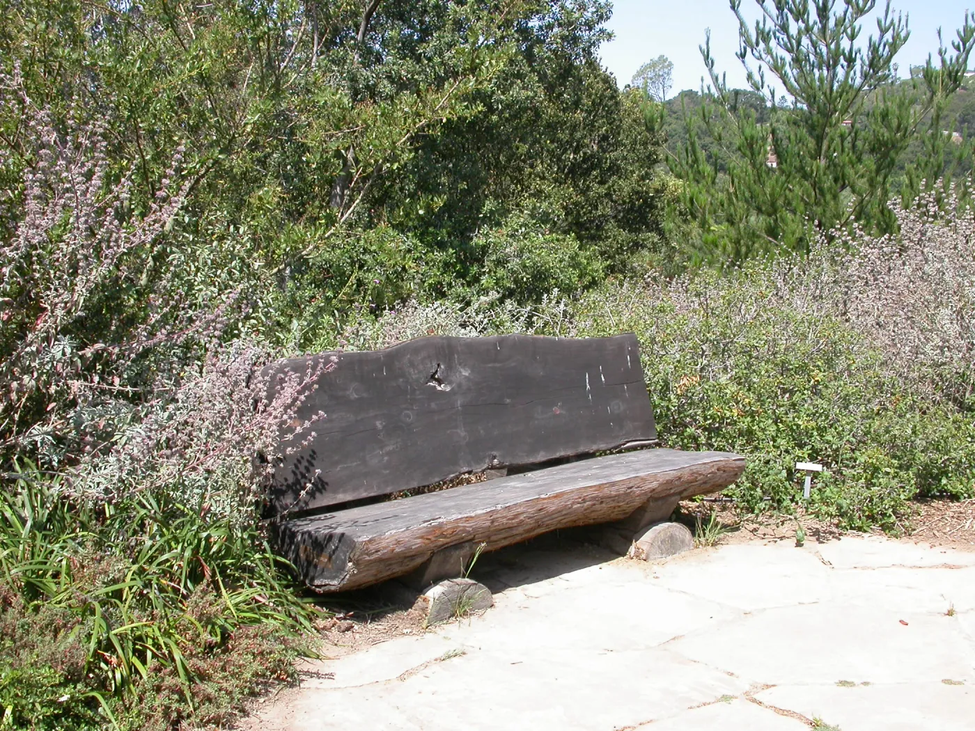 Webb? Bench