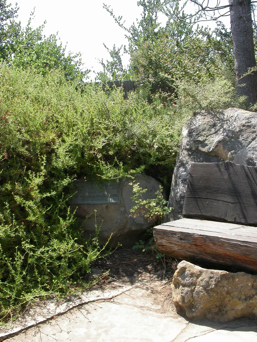 Porter Bench (Bench #64)