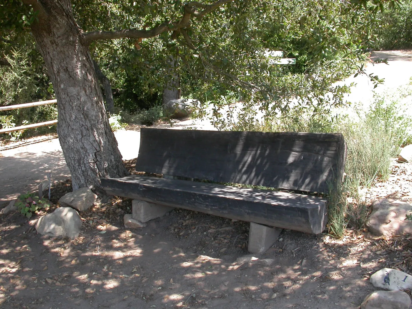 Gross Bench (Bench #15) ?