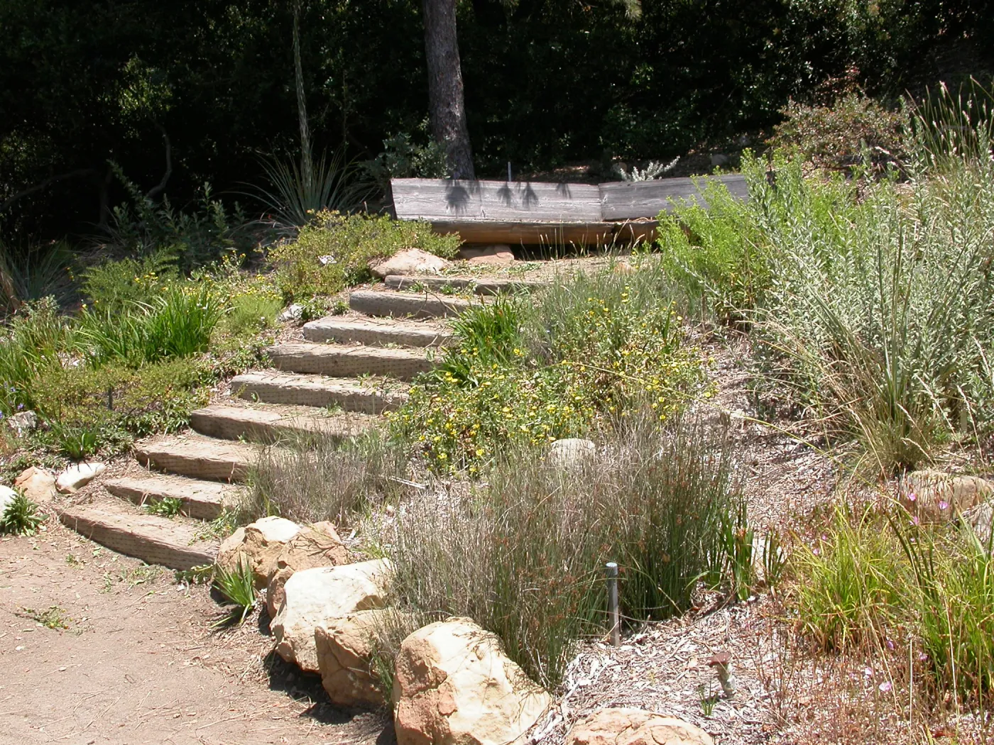 Conn Bench in the Meadow View (Bench #16)