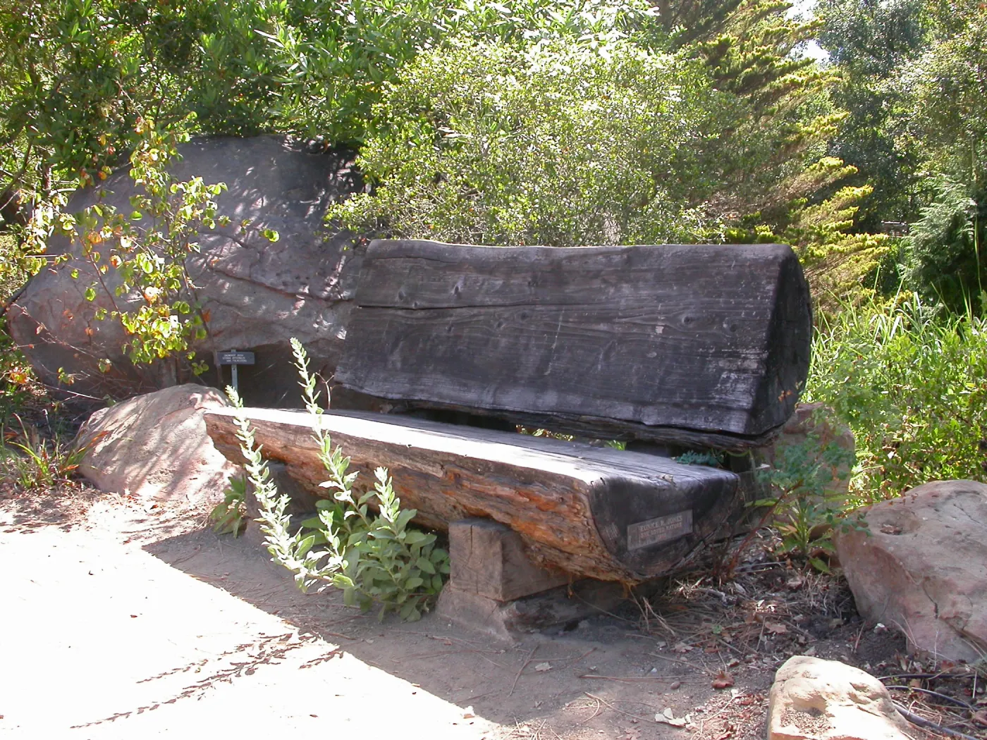 Jones Bench (Bench #51)