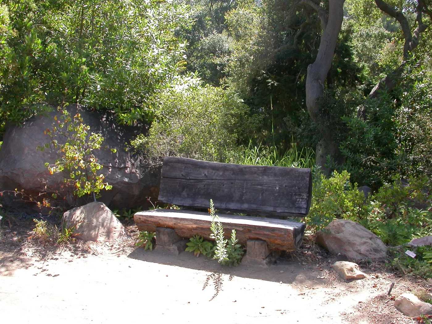 Jones Bench (Bench #51)