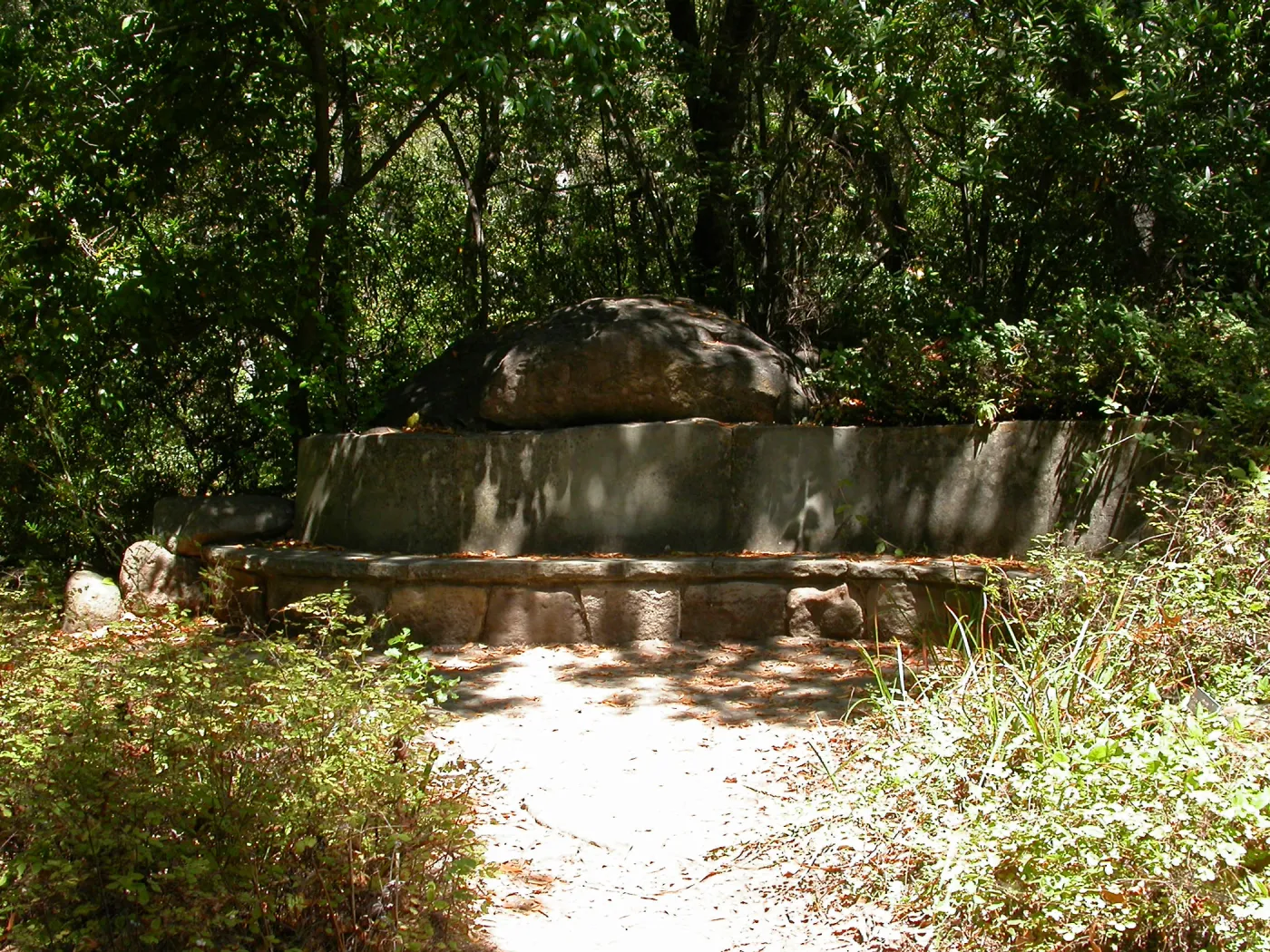 Campbell Bench (Bench #24)