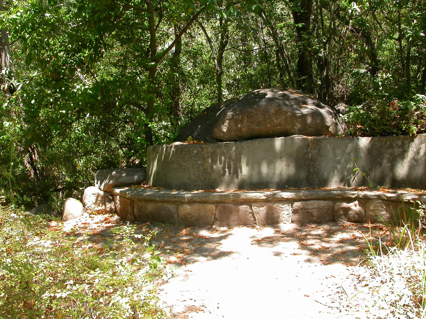 Campbell Bench (Bench #24)