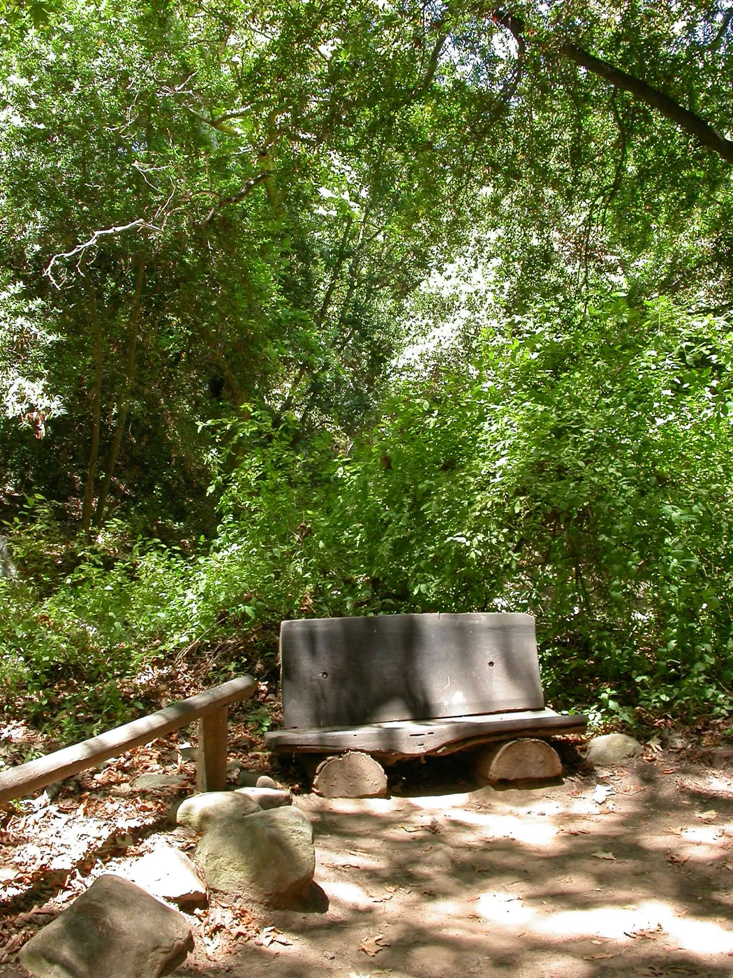 Bliss Bench (Bench #28)