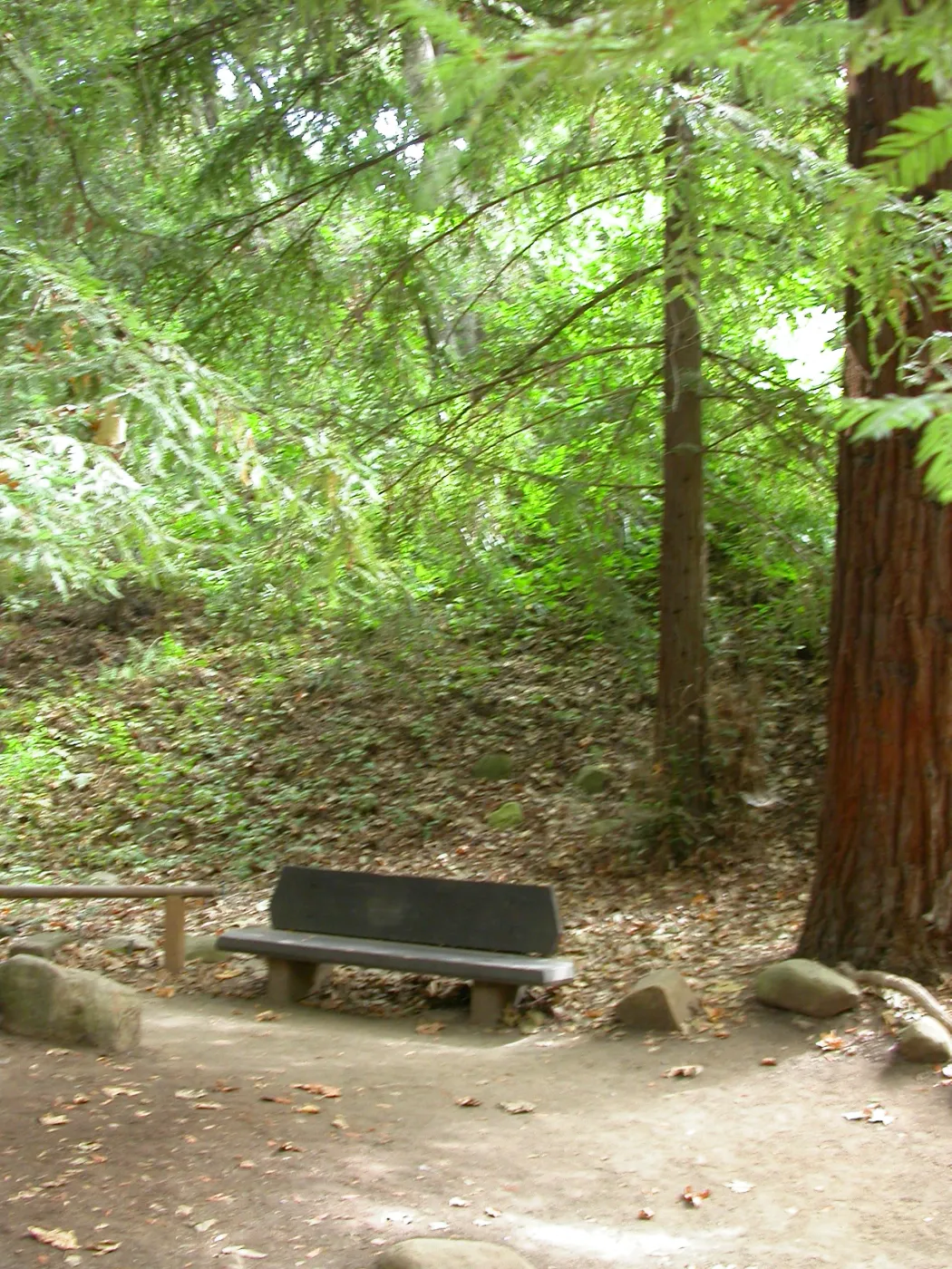 VanSchaick Bench (Bench #30)