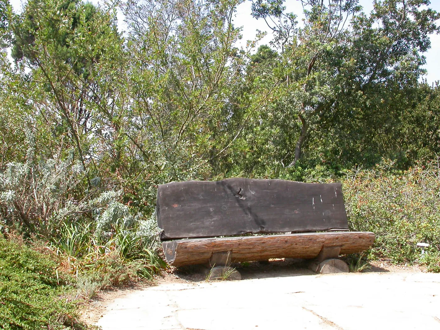 Archibald Bench (Bench #63)