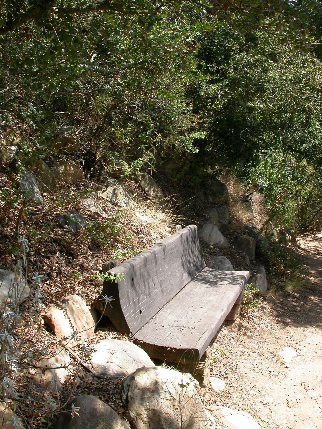 Hooper Bench (Bench #33)