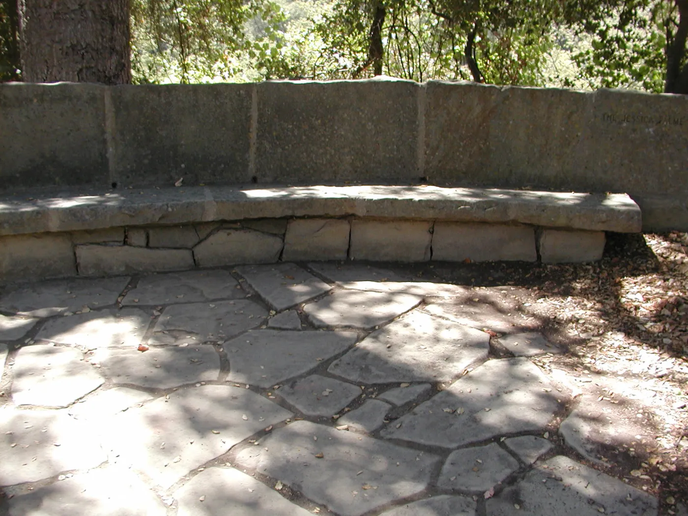 Palme Bench