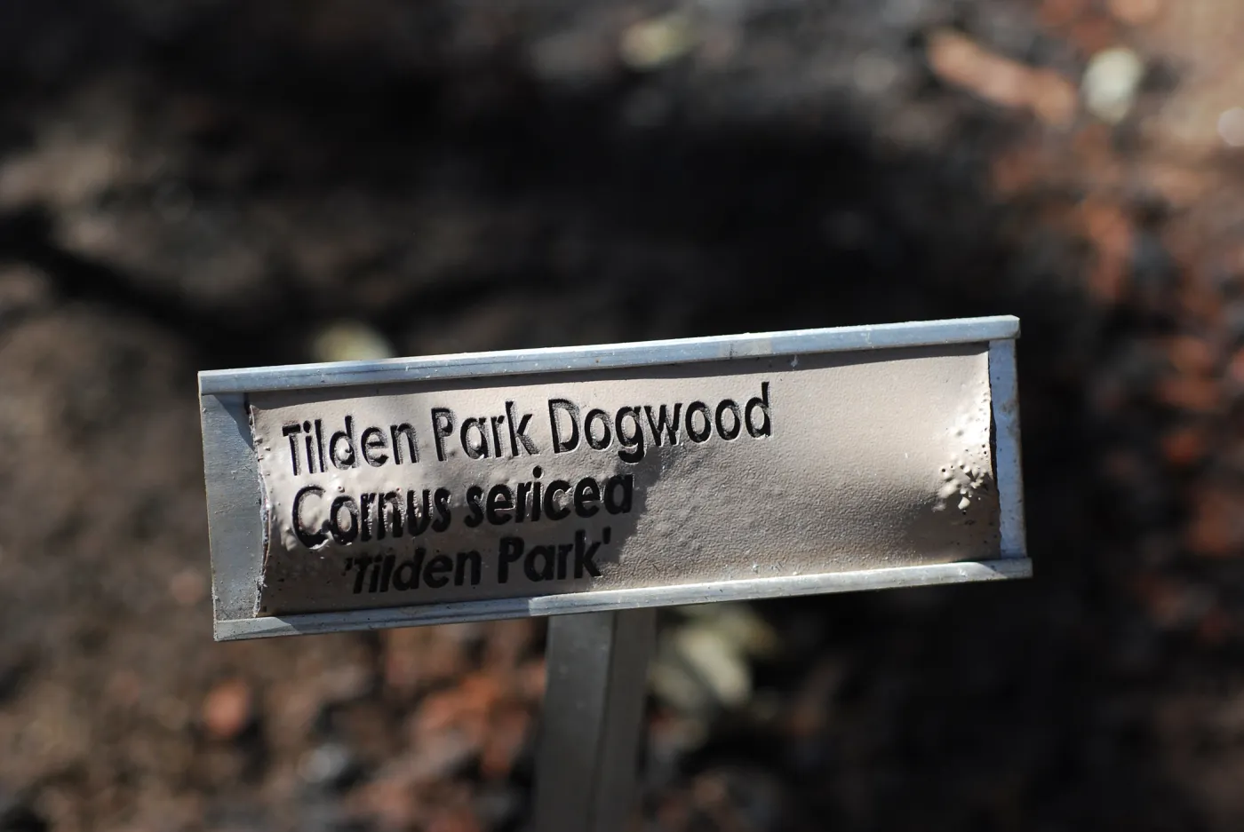 1x5 public information label, damaged signs and labels after the Jesusita Fire
