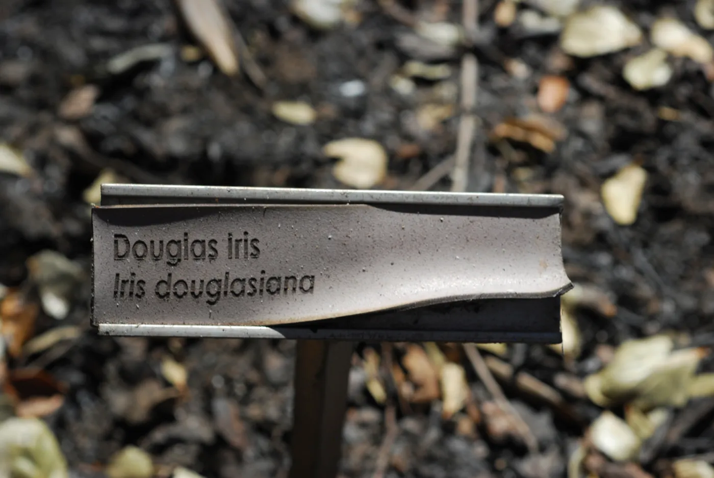 1x5 public information label, damaged signs and labels after the Jesusita Fire