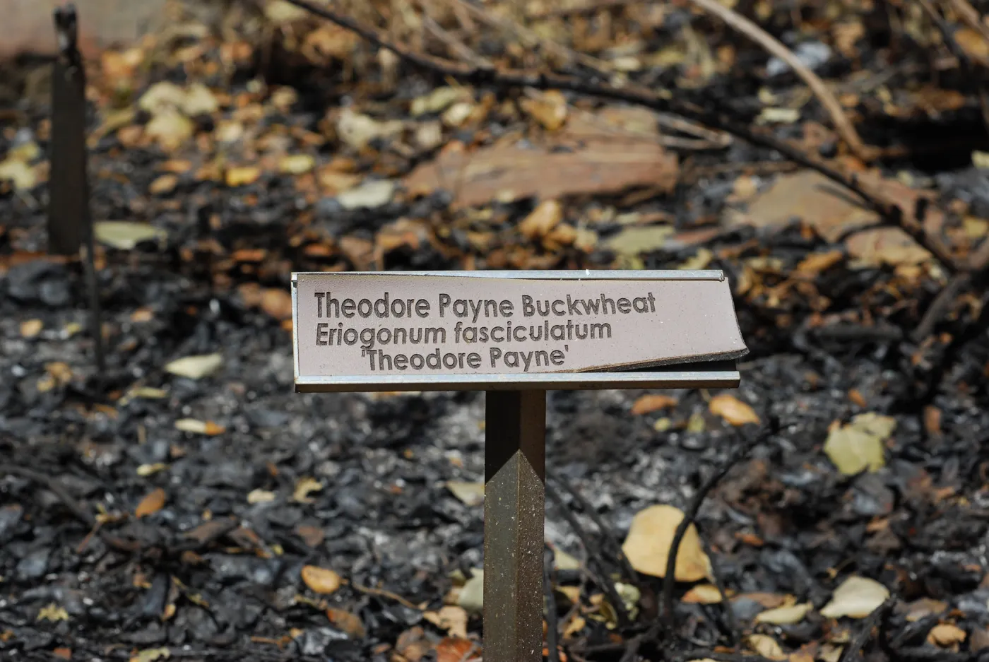 1x5 public information label, damaged signs and labels after the Jesusita Fire