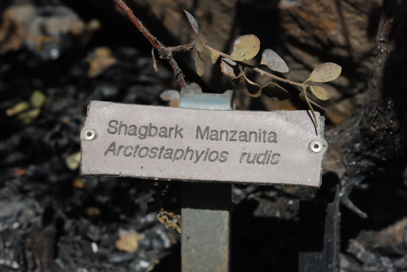 1x5 public information label, damaged signs and labels after the Jesusita Fire