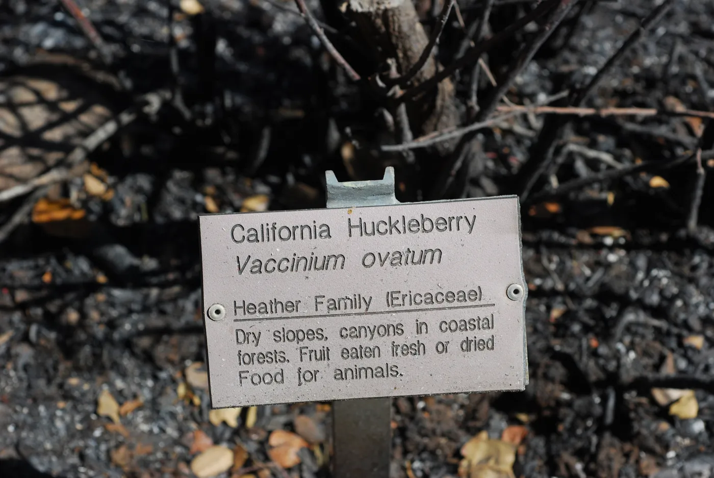 3x5 public information label, damaged signs and labels after the Jesusita Fire