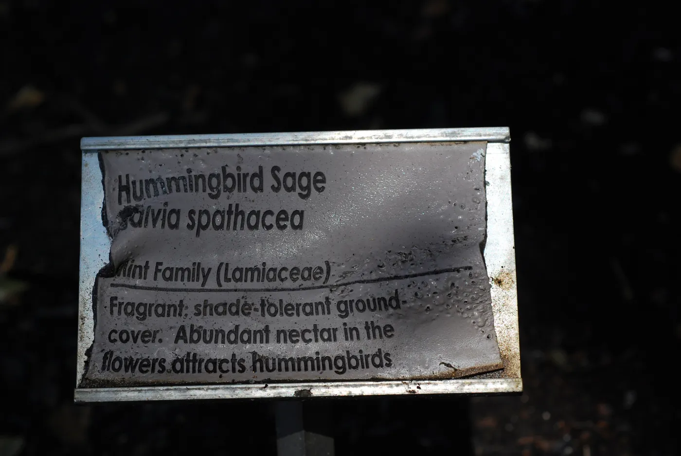 3x5 public information label, damaged signs and labels after the Jesusita Fire