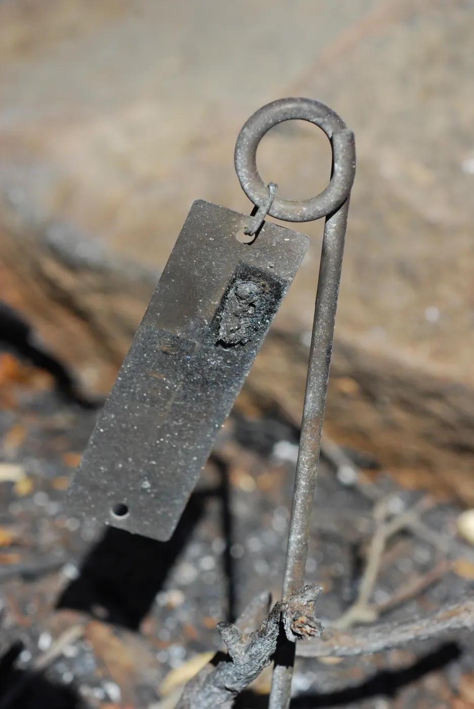 burned fence railing along the Campbell Trail, after the Jesusita Fire