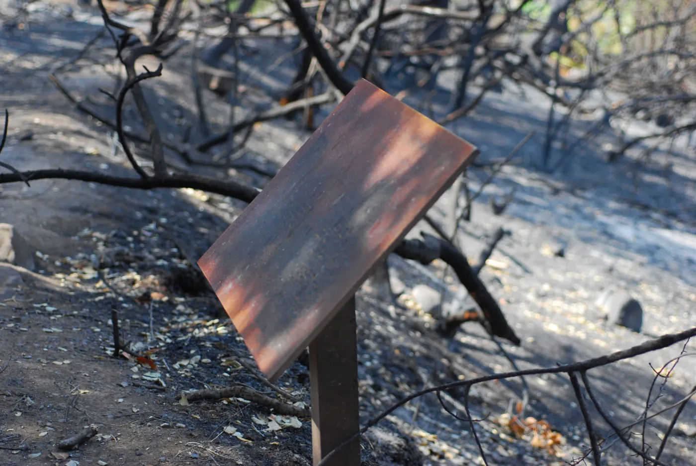 fire damaged sign after the Jesusita Fire