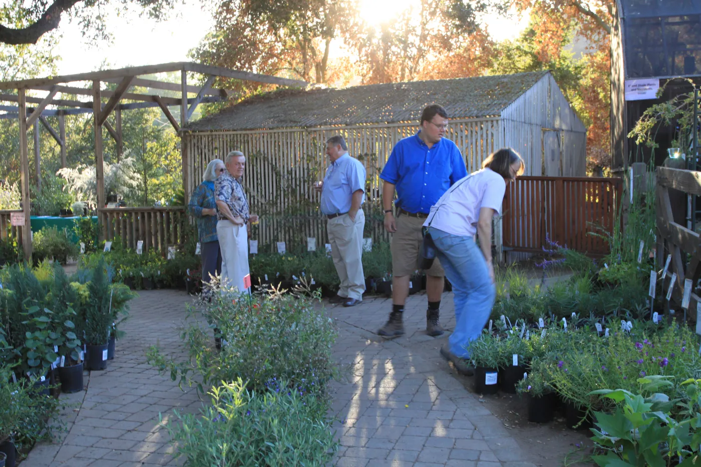 preparing for the plant sale