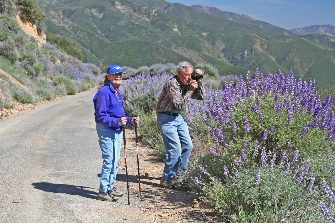 Avis Keedy and Bob Haller photographing lupines