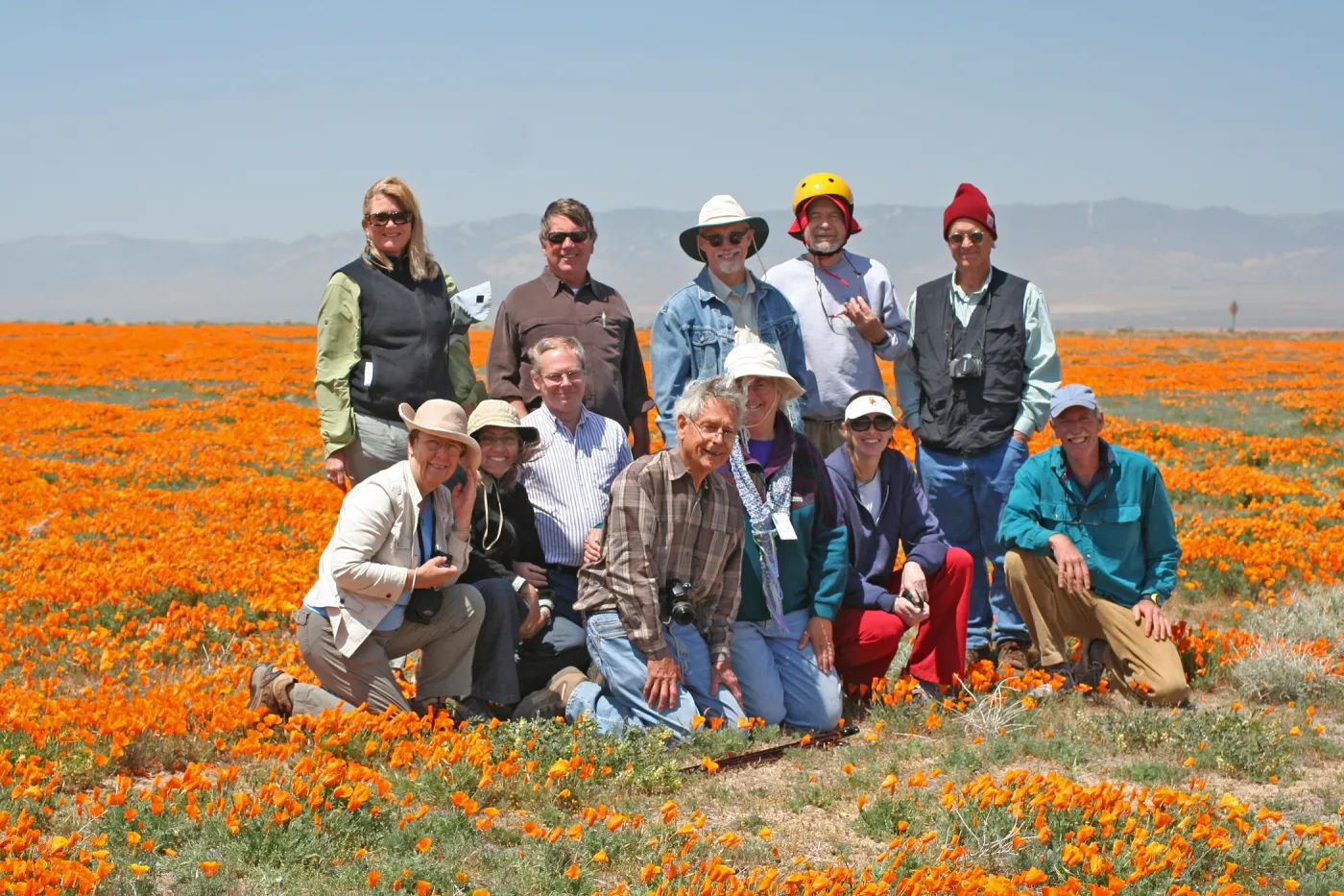 SBBG field trip, field of poppies, Antelope valley