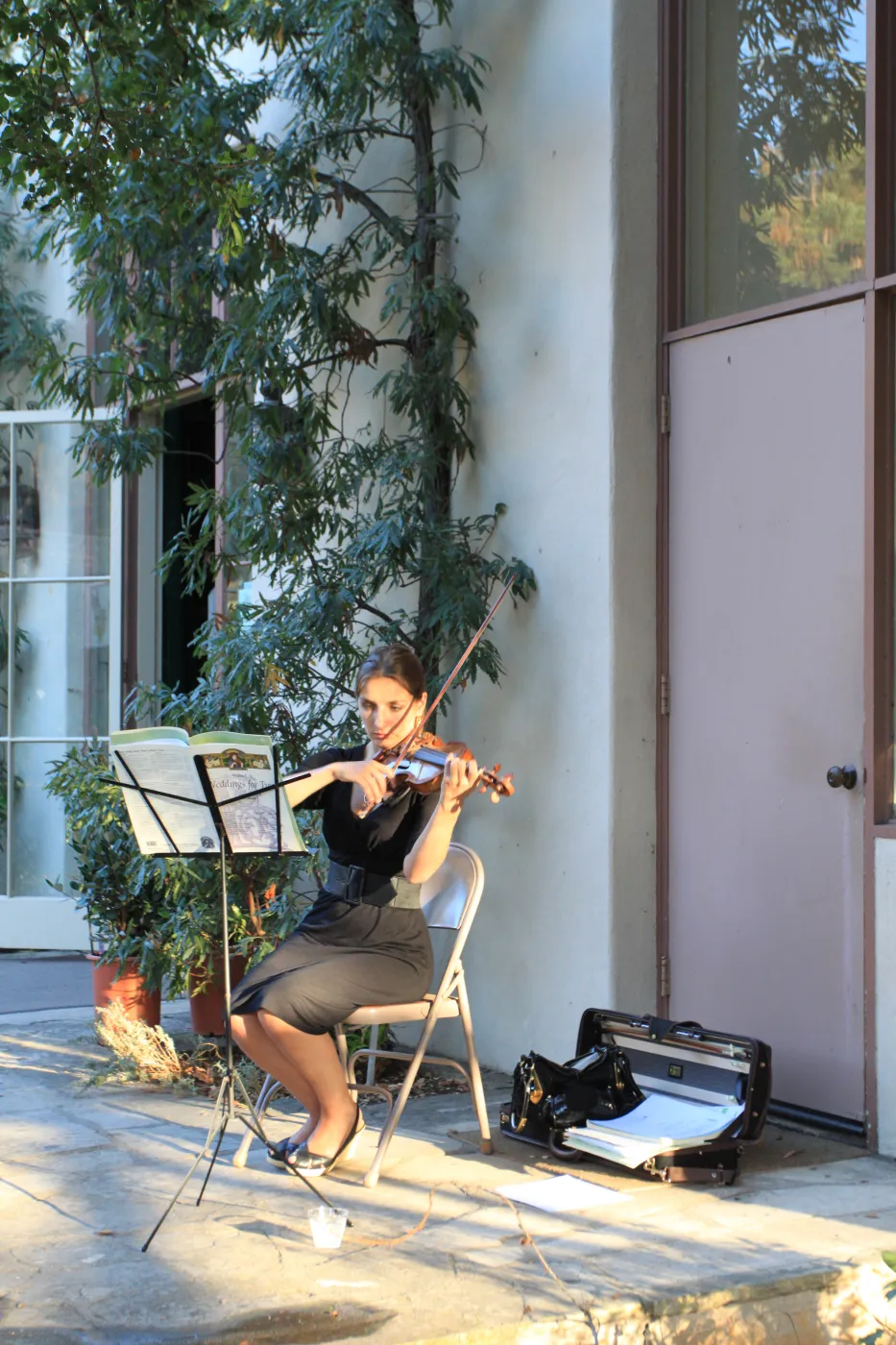 2009 Fall Plant Sale Preview event, musician