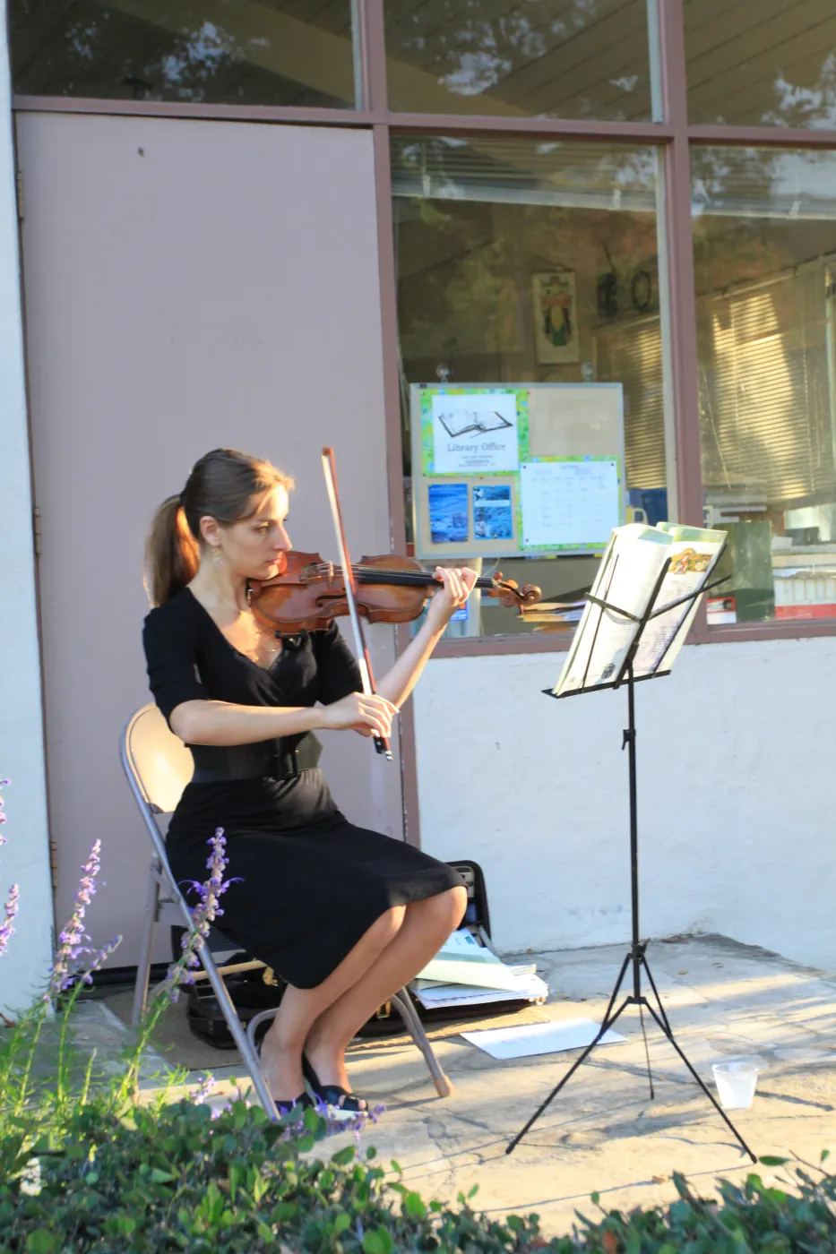 2009 Fall Plant Sale Preview event, musician