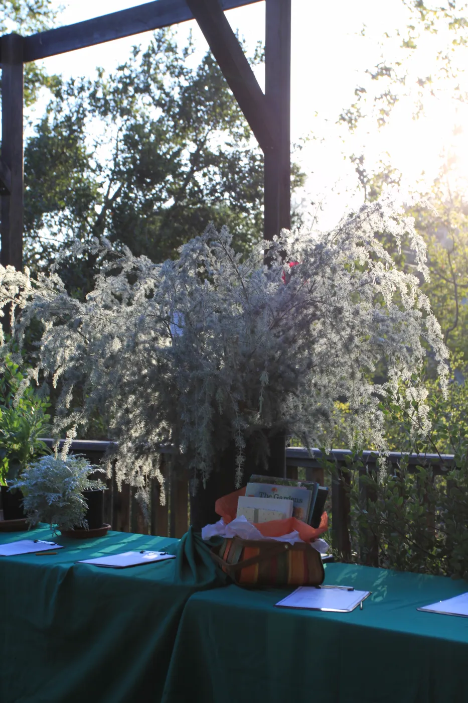 2009 Fall Plant Sale Preview event, silent auction
