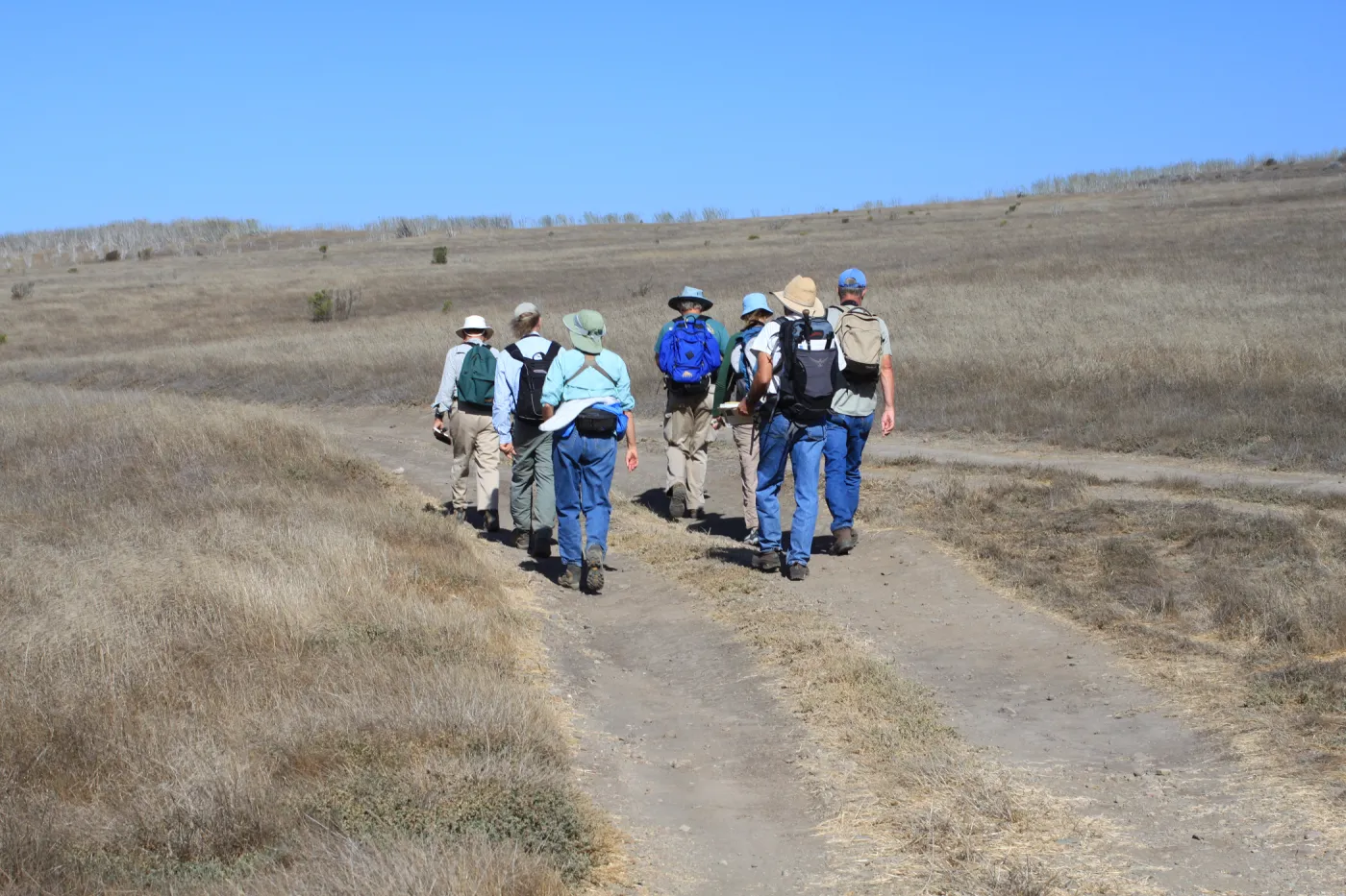 Santa Cruz Island field trip, 2009