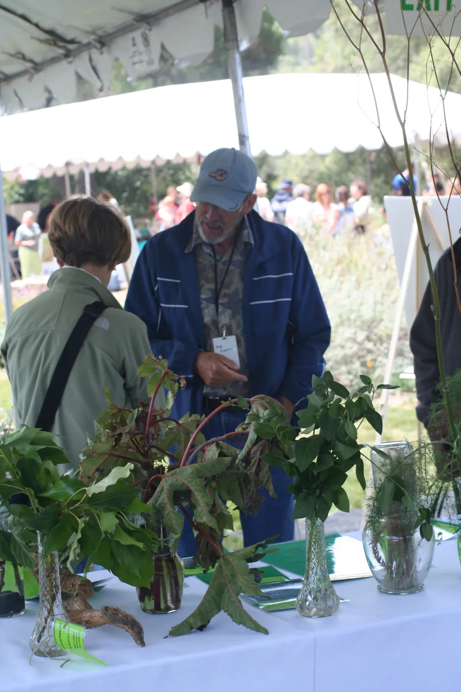 non-native plant identification, SBBG Bio Blitz, 2007