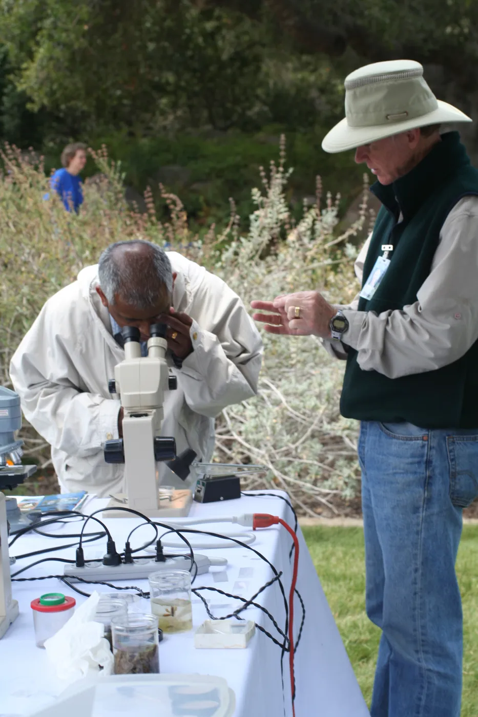 examining aquatic insects and pond life, SBBG Bio Blitz, 2007