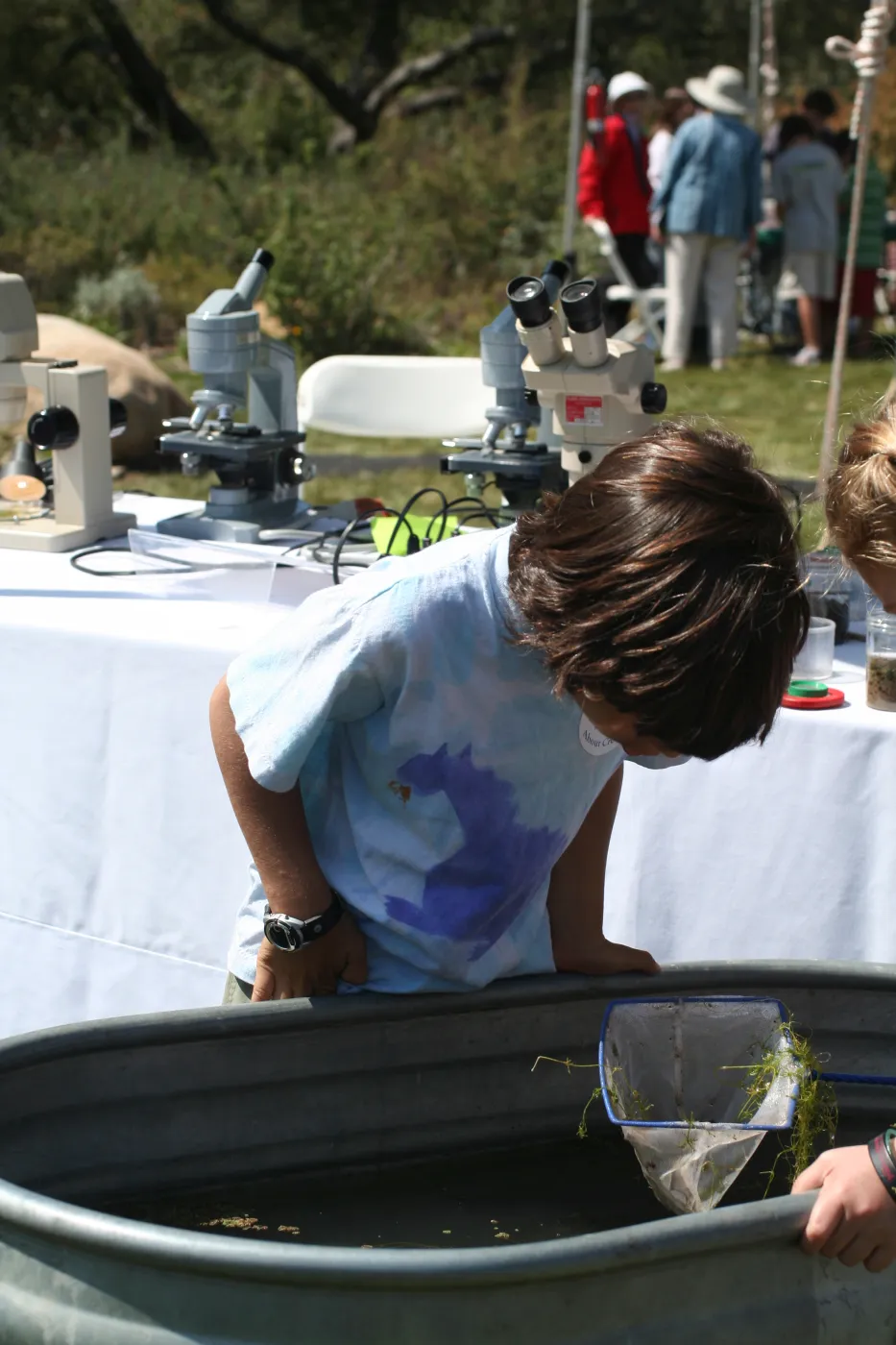 examining pond life, SBBG Bio Blitz, 2007