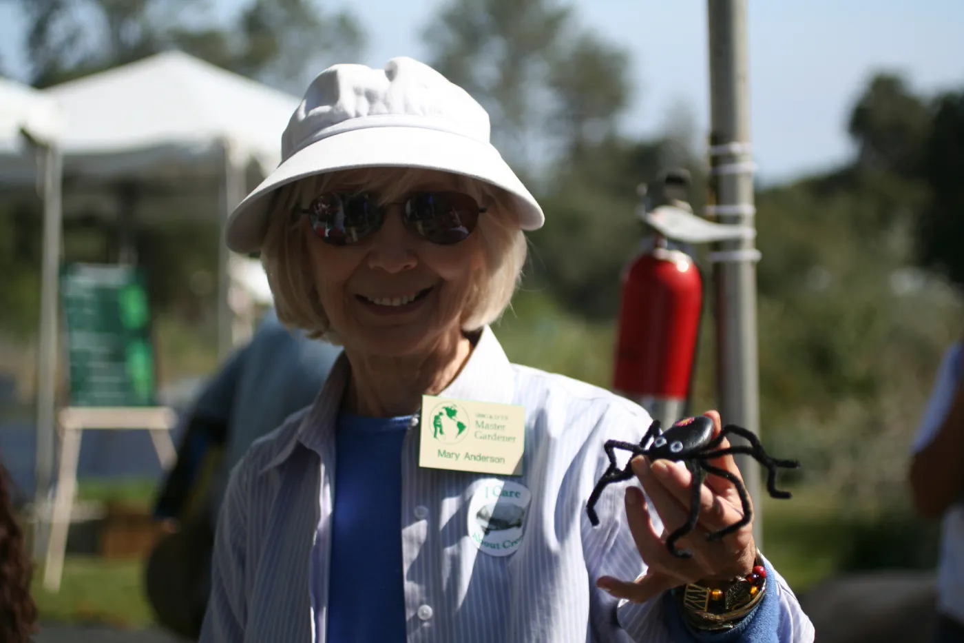 crafted rock spider, SBBG Bio Blitz, 2007