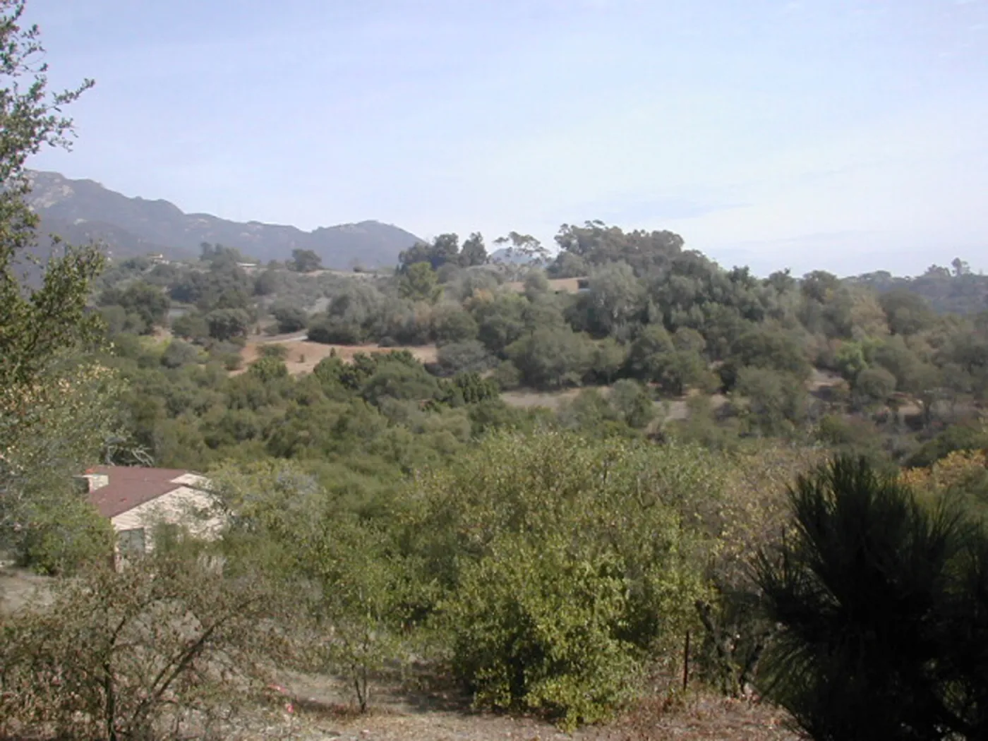 view of Tipton Ridge (RAWS site)