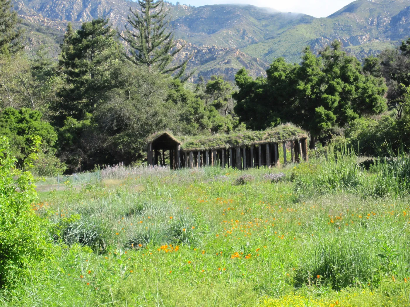 Haven, Herb Parker structure in the Meadow
