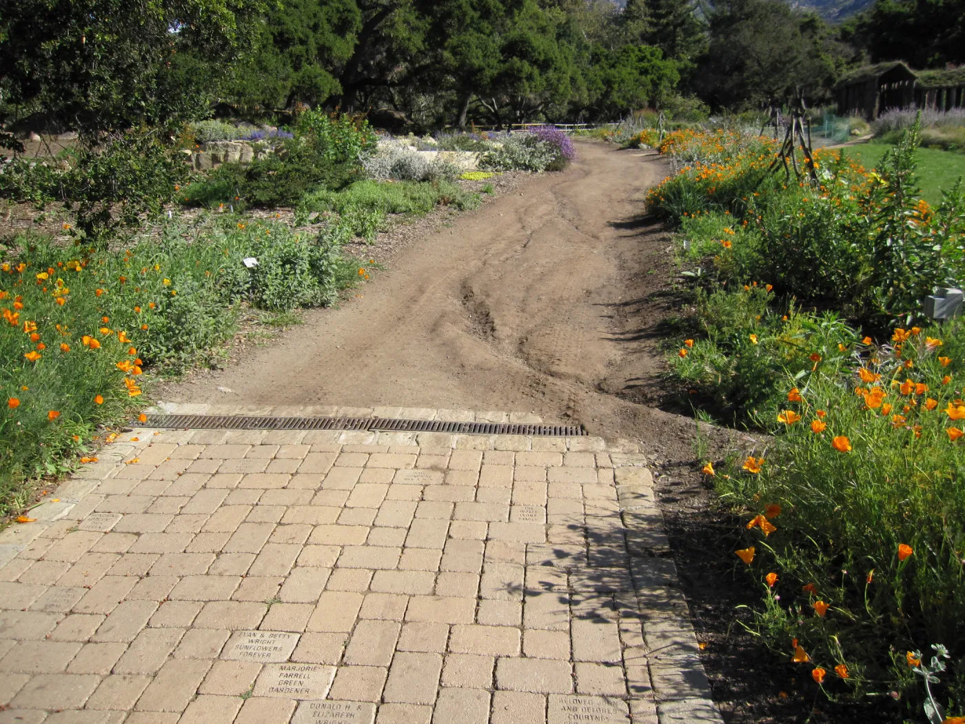 Meadow Terrace
