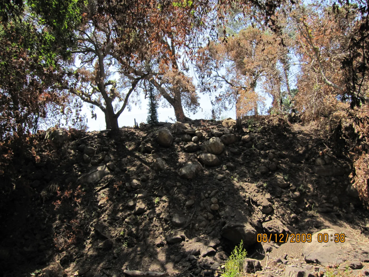slope above Mission Creek after the Jesusita Fire