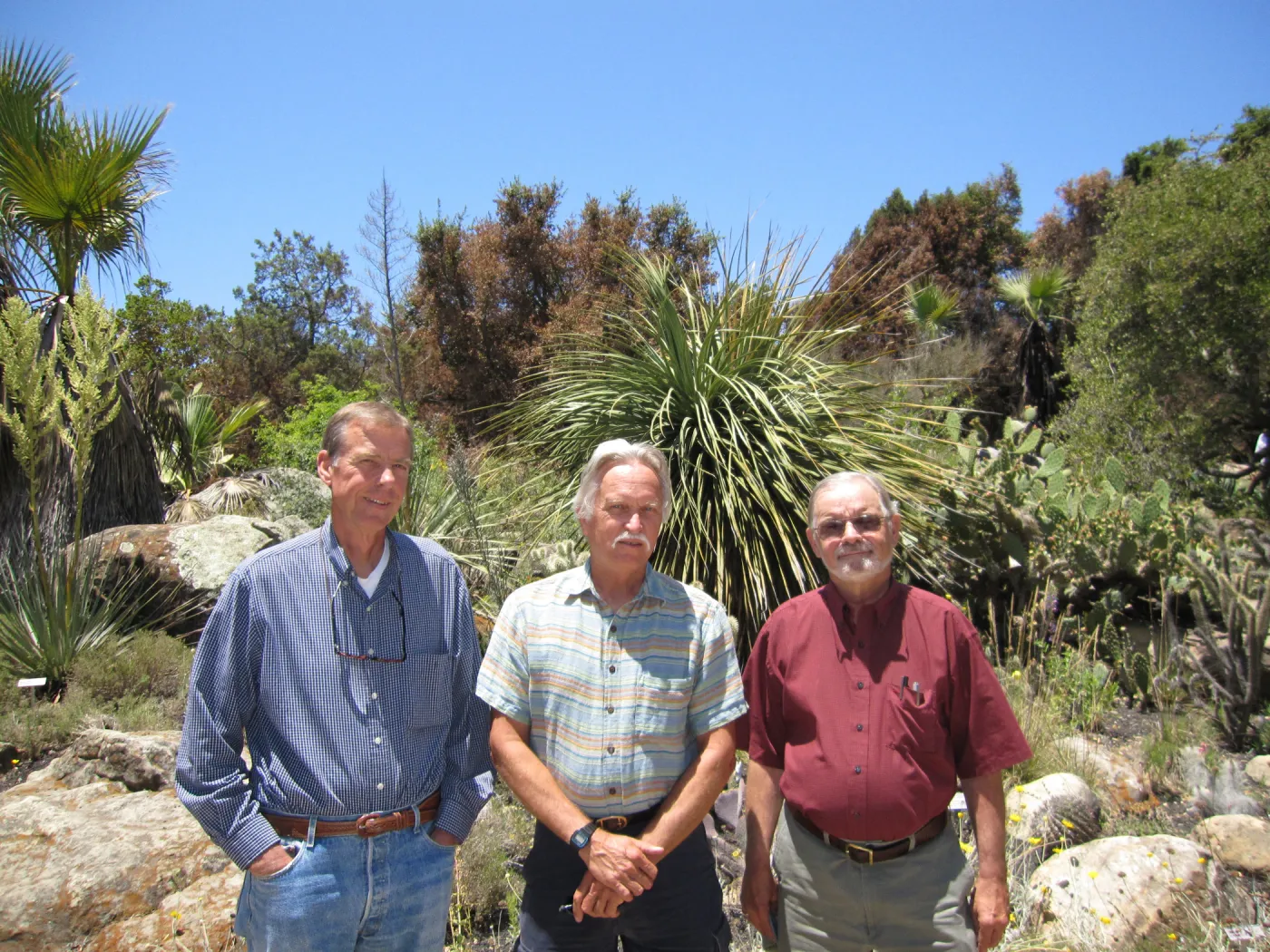 Robert Muller, Steve Junak, Dieter Wilken