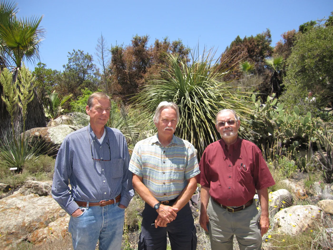 Robert Muller, Steve Junak, Dieter Wilken