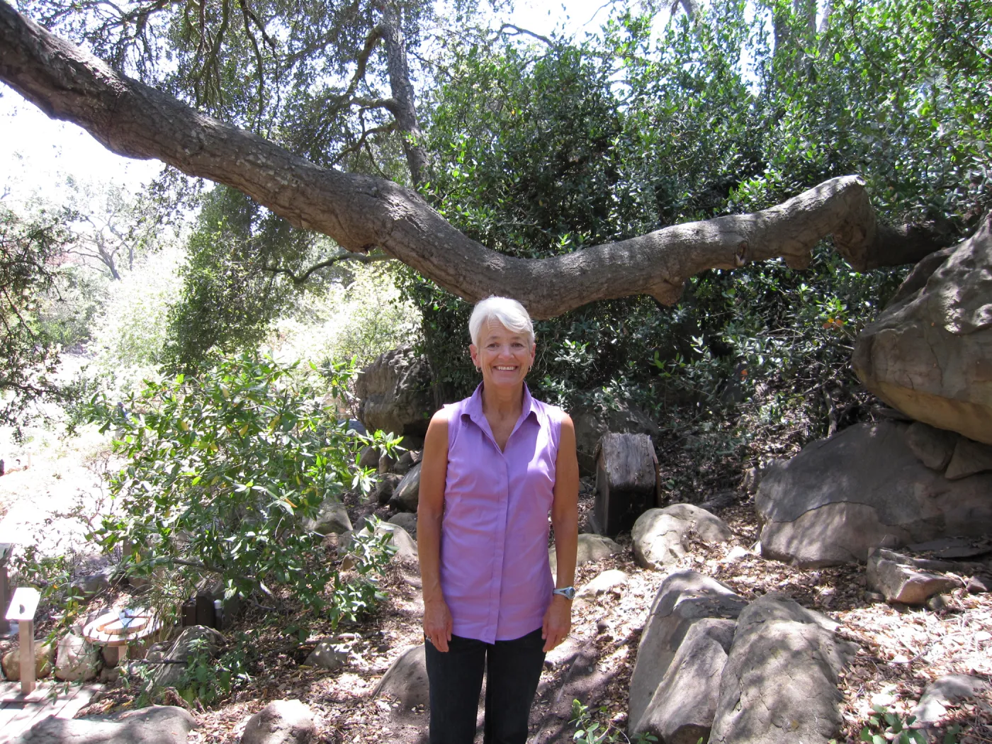 Ann Brinker