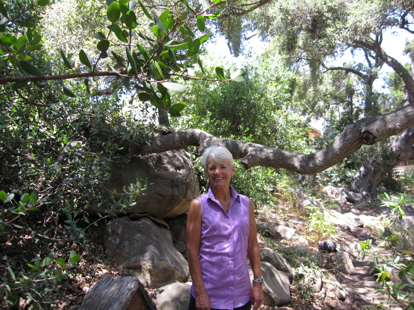 Ann Brinker