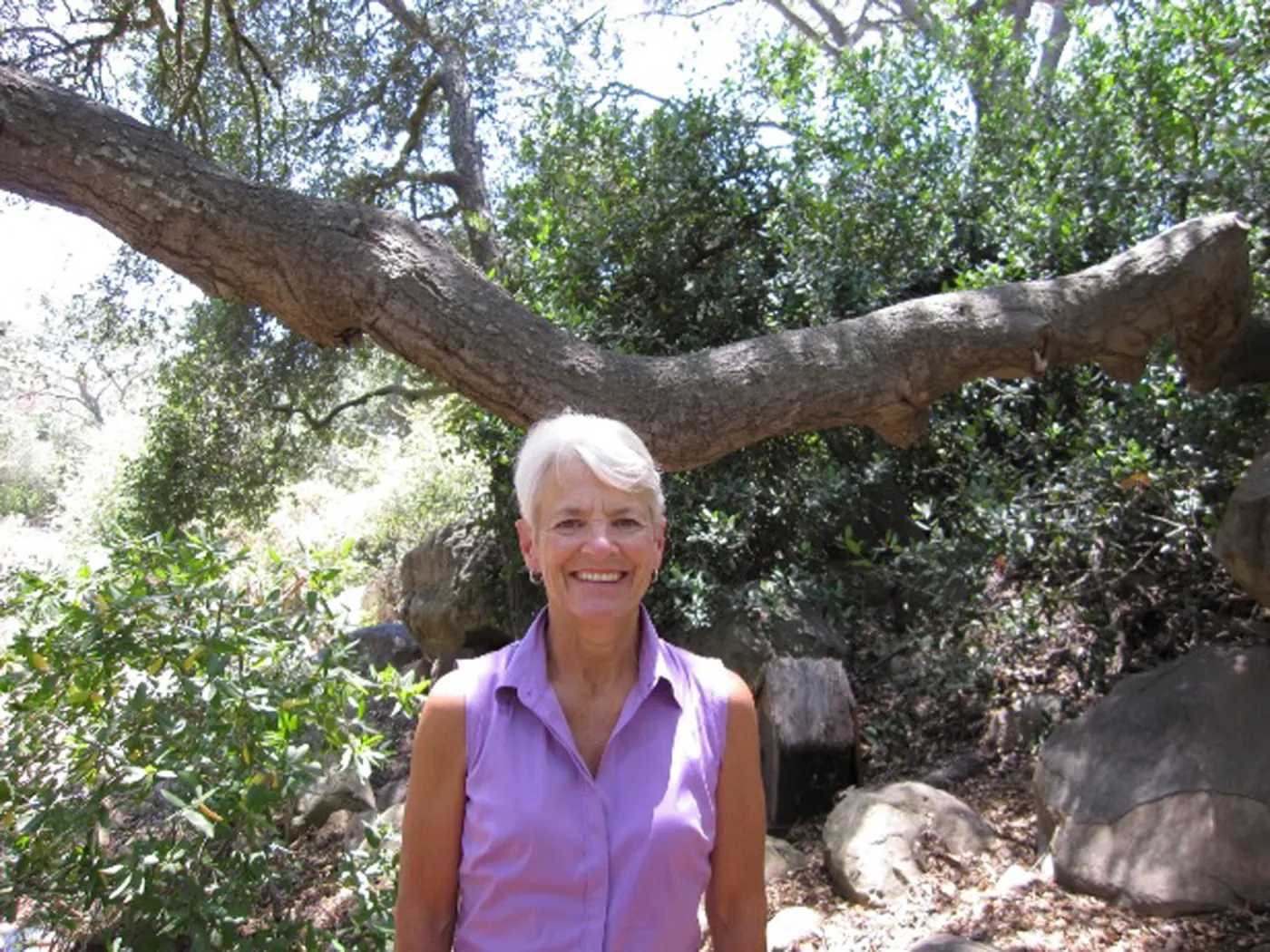 Ann Brinker