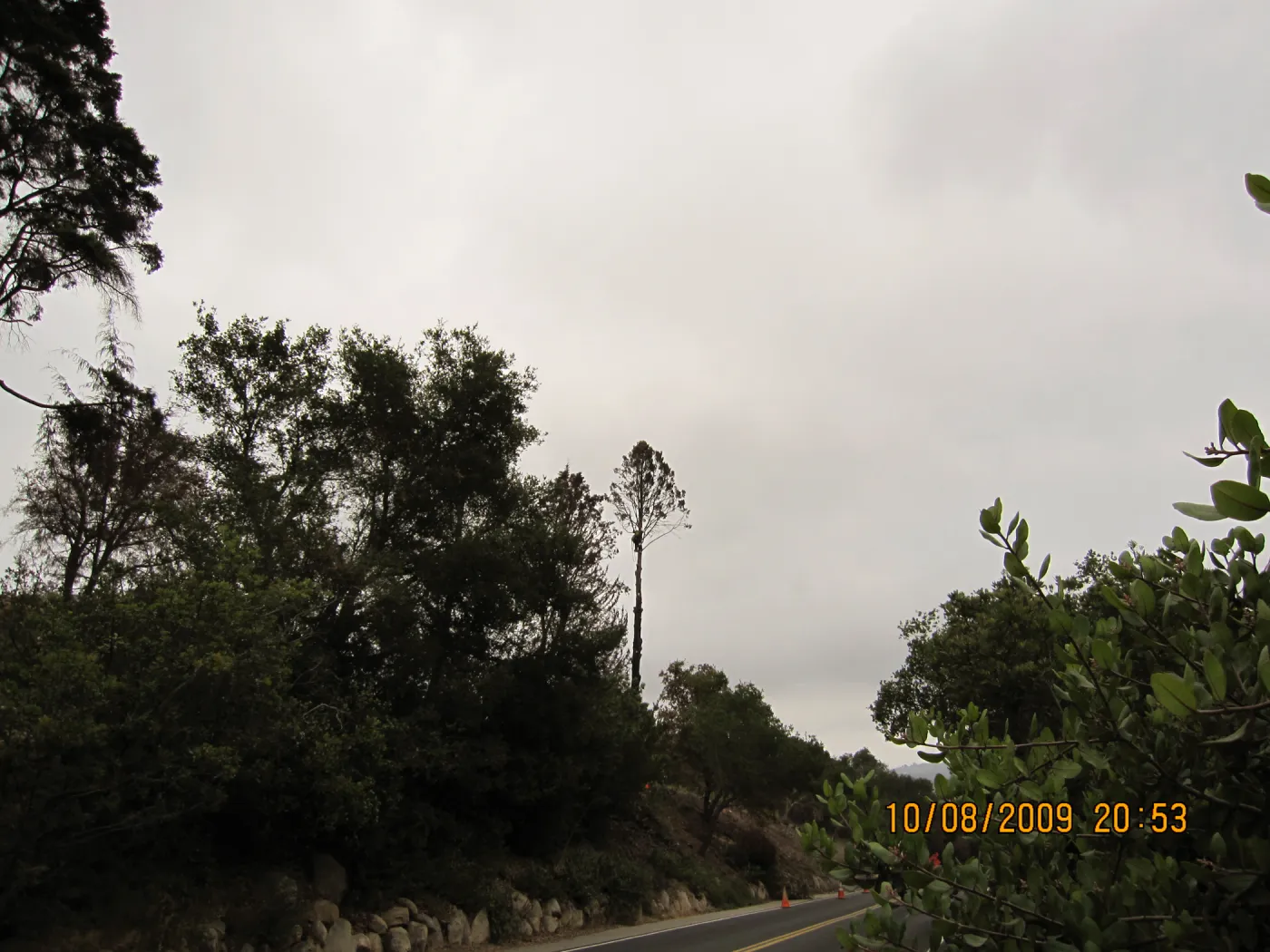 Mission Canyon Road with view of Porter Trail slope, viewing south
